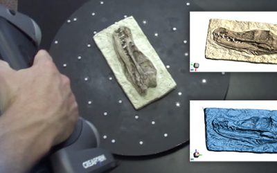 Evolving 3D Scanning Technology-  Comparative Analysis Scan of Velociraptor Skull